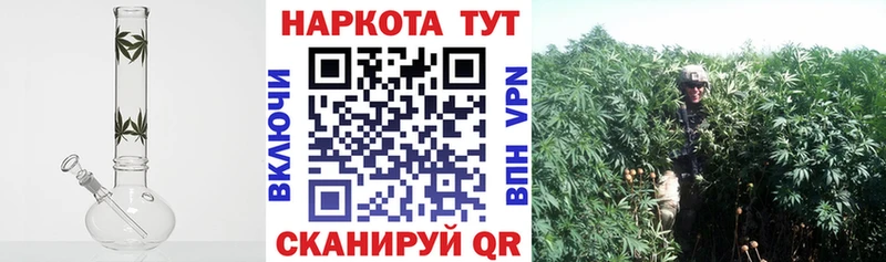 БУТИРАТ Суворов
