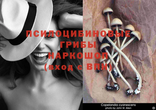 амфетамин Медвежьегорск