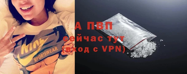 прущие грибы Лиски