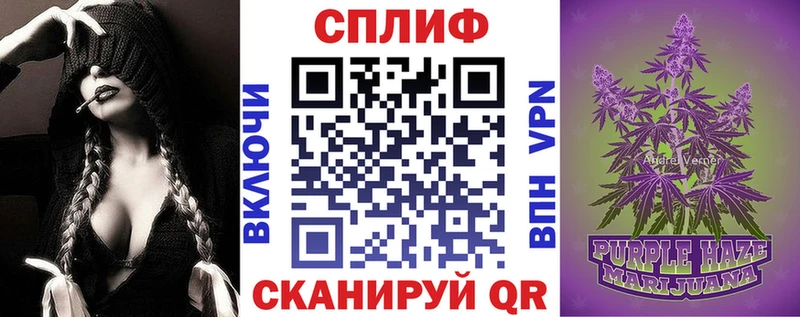 цена   Суворов  Бошки марихуана индика 